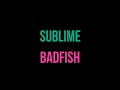 Sublime - Badfish [Karaoke]