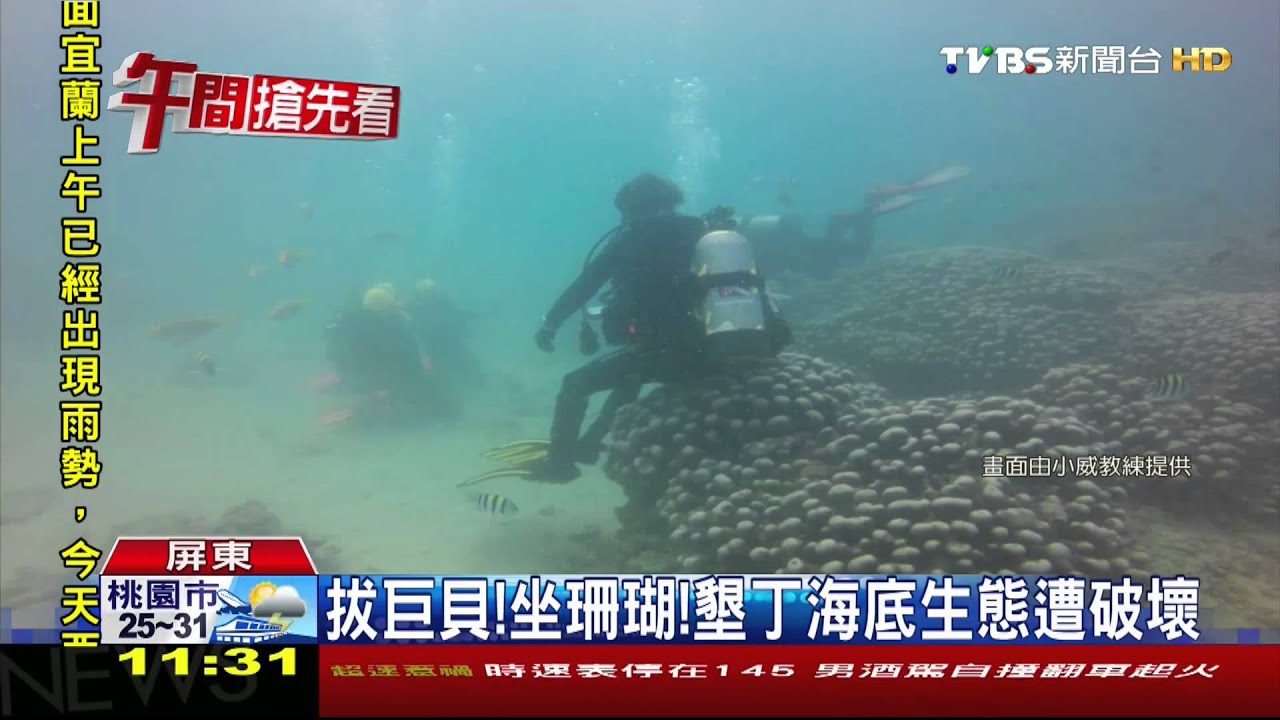 拔巨貝！坐珊瑚！　墾丁海底生態遭破壞