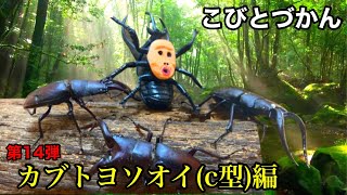 【こびとづかん】 カブトヨソオイ捕まえるまで帰れま10 クワガタヨソオイ c型 カブトムシ クワガタムシ 捕獲