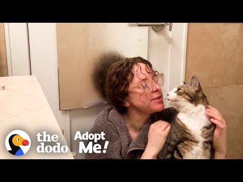 This Is The #1 Thing You Can Do To Help Shelter Pets Right Now | The Dodo Adopt Me!
