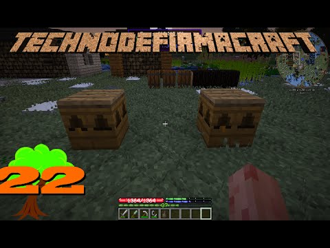 TechnodeFirmaCraft LP - Ep22: Bees & Black Steel