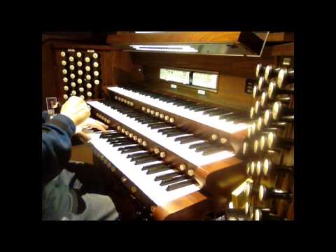 Evening Song -- Camil Van Hulse