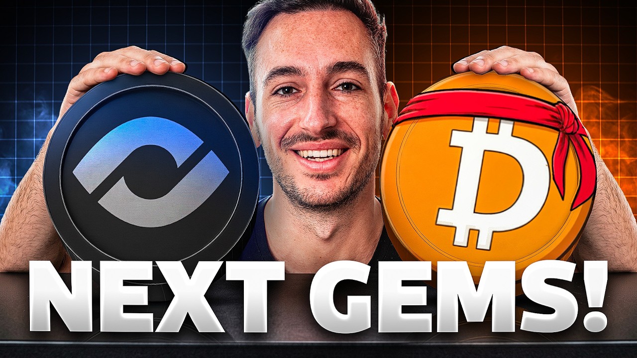 I Sold My Crypto Portfolio For These 2 Altcoins [One Tech, One Meme]