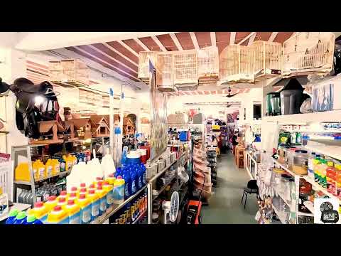 Super copa Noroeste 2023União São Vicente x NAC