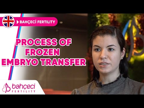 What Is The Procedure For Frozen Embryo Transfer?