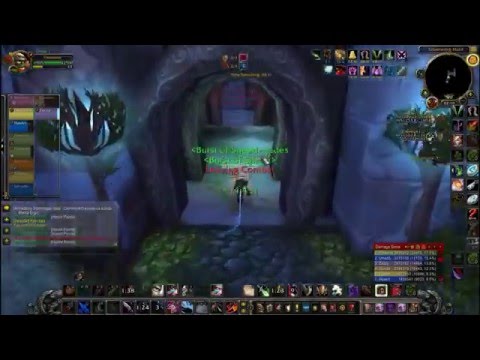 world of warcraft rogue pvp warsong gulch