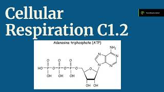 IB Biology SL/HL [C1.2 Cellular Respiration]
