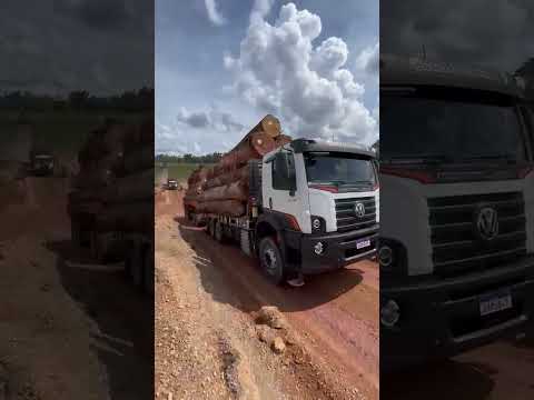 Cujubim Rondônia plano manejo sustentável ￼