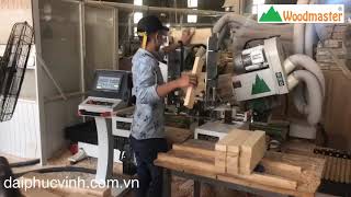 WOODMASTER | MÁY LÀM MỘNG DƯƠNG CNC 2 ĐẦU