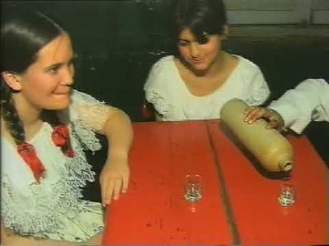 PROGRAMACION REGIONAL