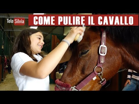 Che cosè il cambiamento degenerative della colonna vertebrale toracica Compresse a osteocondrosi