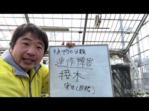 園芸 輪作を理解する