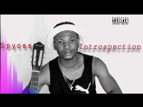 I N T R O S P E C T I O N  by Spycee