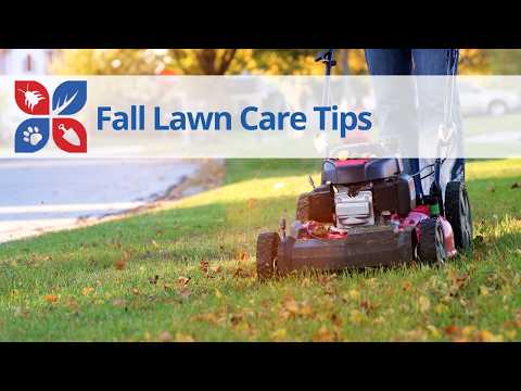  5 Fall Lawn Care Tips Video 