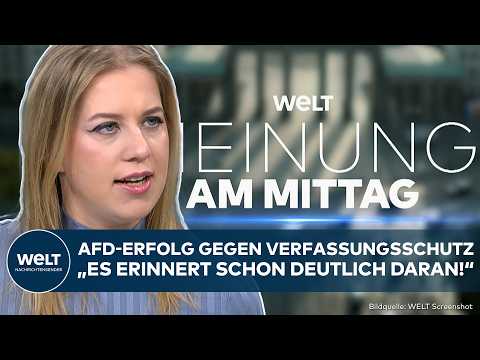 MEINE MEINUNG: Erfolg gegen Verfassungsschutz! AfD nicht gesichert rechtsextremistisch