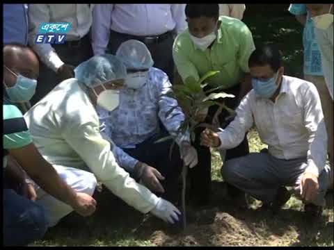 পরিবেশ রক্ষা এবং দুষণ রোধে বেশী বেশী পরিমানে গাছ লাগানোর আহবান চট্টগ্রাম জেলা প্রশাসকের