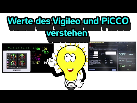 Die Werte des Vigileo/PiCCO verstehen