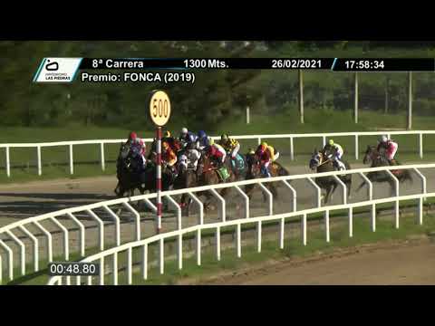 210226 c08 - EL NATIVO - HIPODROMO LAS PIEDRAS