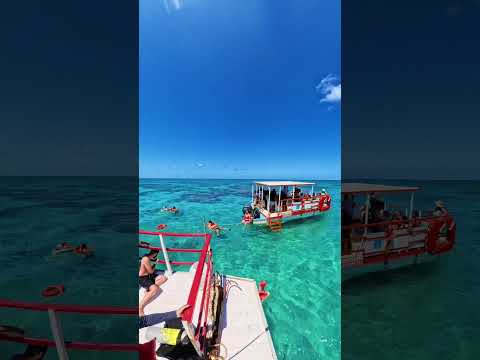 Parrachos de Maracajaú RN #shorts