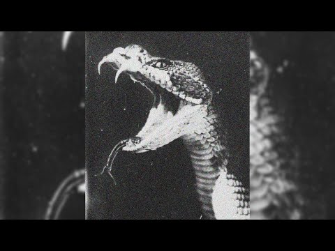 [free] 21 savage x lil keed x pyrex whippa type beat "stick" | 2020