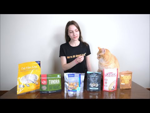 Top 6 Best Cat Treats (We Tested Them All)