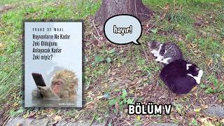 Sosyal Beceriler Makyevelvâri Zeka ve Üçlü Farkındalık | Frans de Waal | Kitap İ