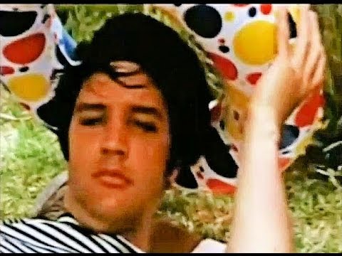 download lagu mp3 mp4 Elvis Holidays, download lagu Elvis Holidays gratis, unduh video klip Elvis Holidays