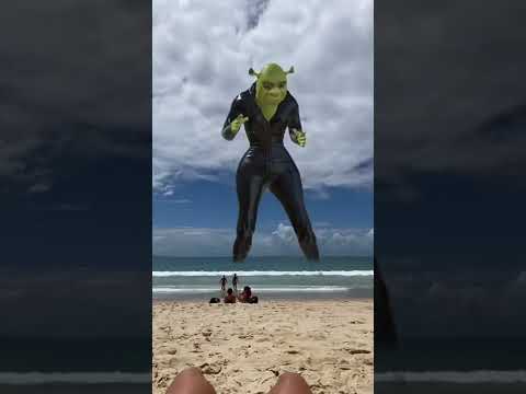 SHREK A LA PLAYA
