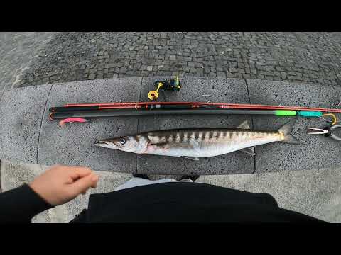 Pesca de Bicuda | Barracuda Fishing (4K UHD)