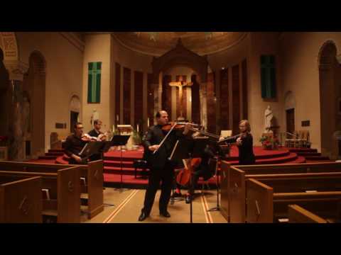 J. G. Graun: Viola Concerto in E flat, Cv:XIII:116