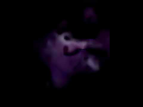 capturas interesantes