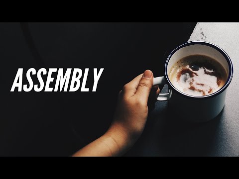 Assembly - Pwn Zero To Hero 0x00