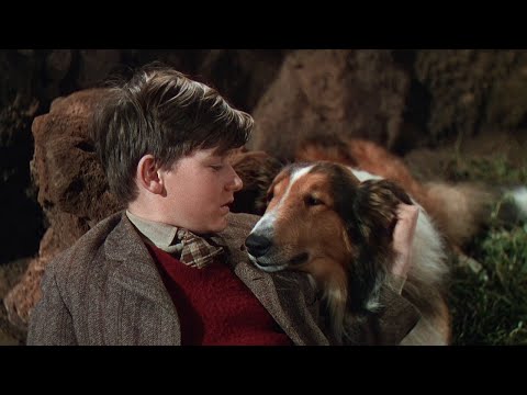 Lassie Come Home (1943) full movie