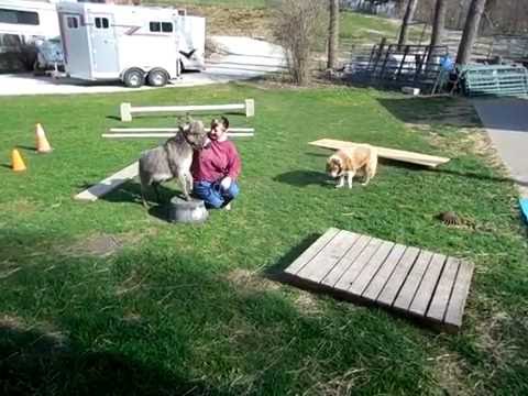 Lil' Captain Osbtacle course training