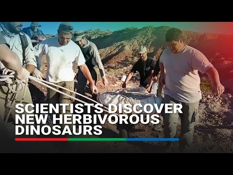 Scientists discover new herbivorous dinosaurs that roamed Argentina 90 million years ago