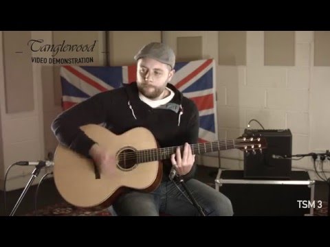 Tanglewood Demonstration - TSM 3