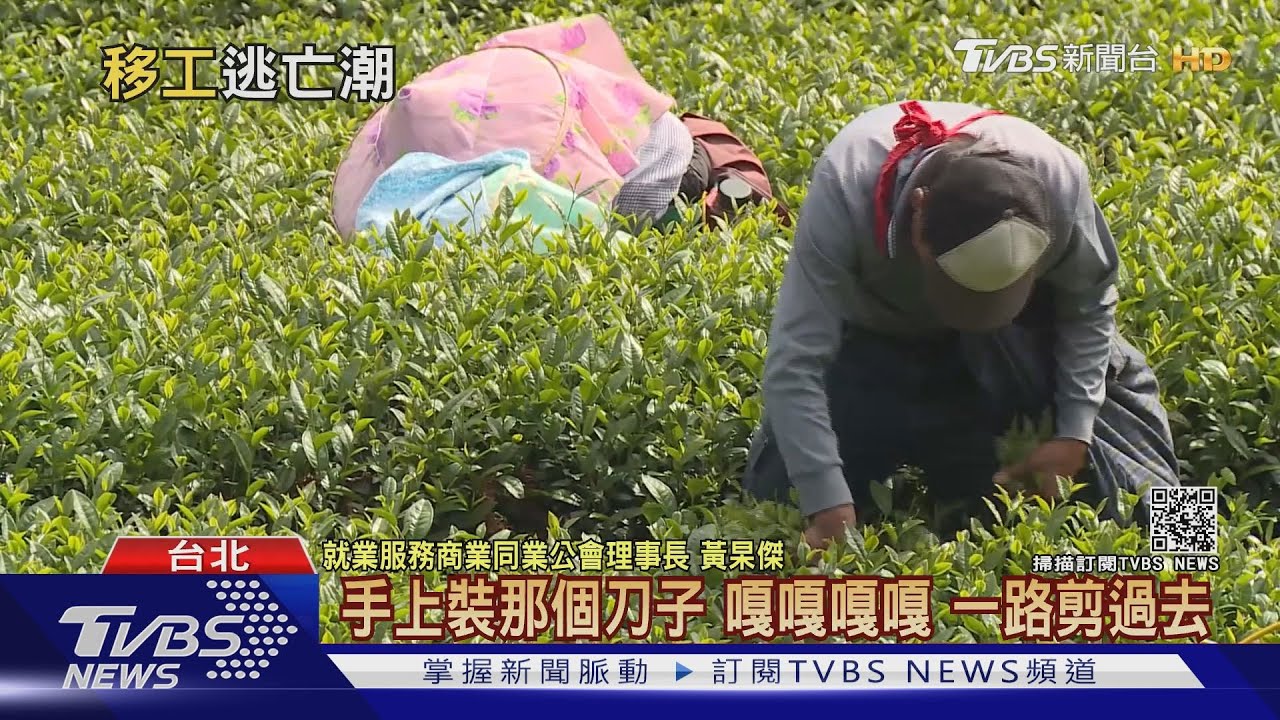 有片/亂象!全台大缺工瘋搶工人 外籍移工「逃亡轉職潮」湧現