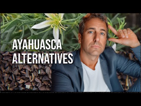 What is Soma? Psychedelic alternatives to #ayahausca.