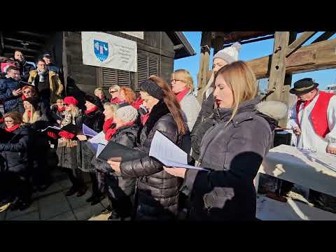 Trsek moj daj se zbudi