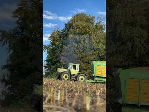 Mb Trac Sound Pur 😍🤤🌽🔥 #automobile #farming #landwirtschaft #agriculture #farm #farmlife #agri