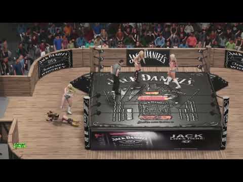 Armstrong vs Woods vs Duggan vs McPatrick / Inter-promotional Fatal Four Way Title Match / IWAUSA