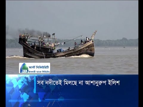 নদীতে মিলছে না আশানুরুপ ইলিশ