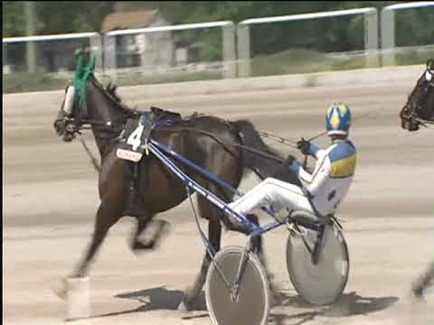 Trotto 24/05/2019 - 2ª corsa