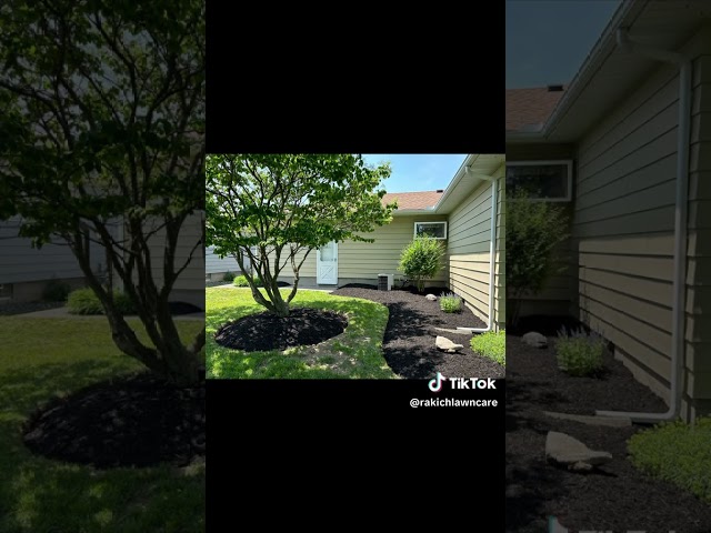 Professional Lawn Maintenance Plans | SenecaHill Landscaping in Lawn, Tree Maintenance & Eavestrough in City of Toronto