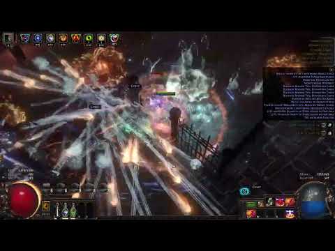 t16 80% deli showcase