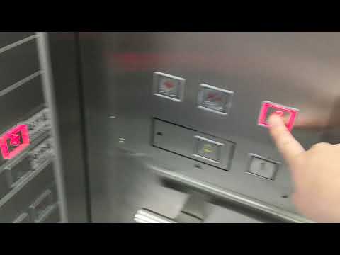 (FlashProductions657 2021 Episode S3) Schindler 300 P at Olympic Park Subway Station (Line 8)