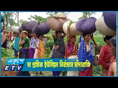 চা শ্রমিক ইউনিয়ন নির্বাচনে চাঁদাবাজি