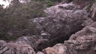 preview picture of video 'Bat Cave. Wat Khao Wongkhot. Lop Buri, Thailand. In HD'