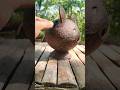 Easy Coconut Shell Craft Ideas DIY Shorts