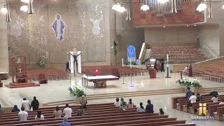 Memorial of Saint Charles Lwanga and Companions, Martyrs